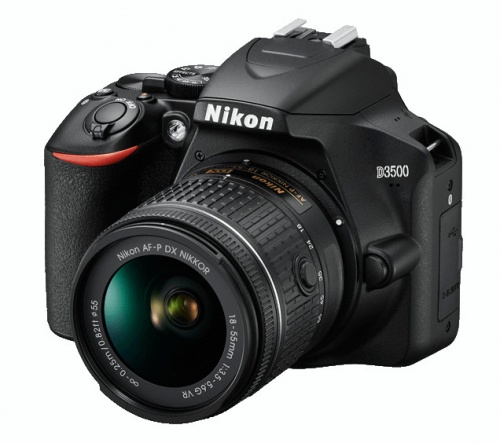 Nikon D3500 Vs D5600: What's The Difference?