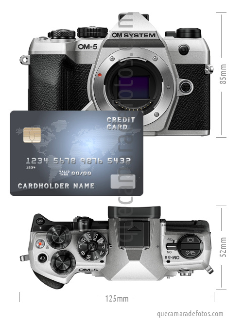 Live MOS Four Thirds sensor