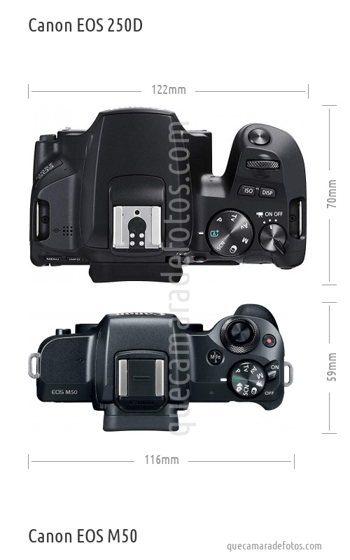 anklageren forfremmelse hydrogen Canon EOS 250D vs Canon EOS M50
