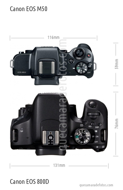 Canon EOS M50 vs Canon EOS 800D