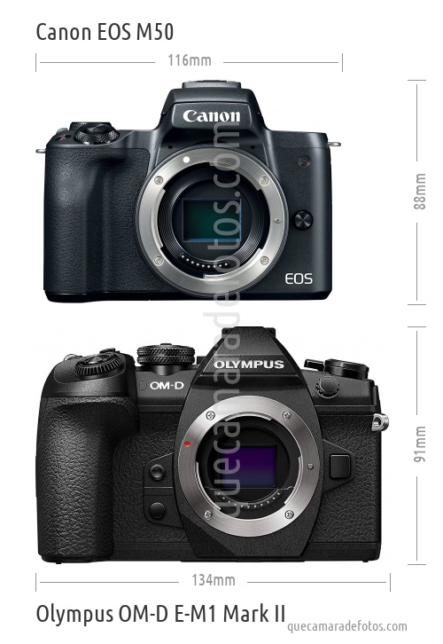 Canon EOS M50 vs Olympus OM-D E-M1 Mark II