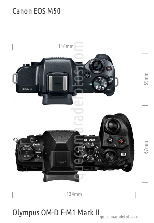 Canon EOS M50 vs Olympus OM-D E-M1 Mark II