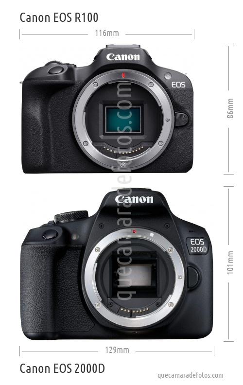 Canon EOS R100 vs Canon EOS 2000D