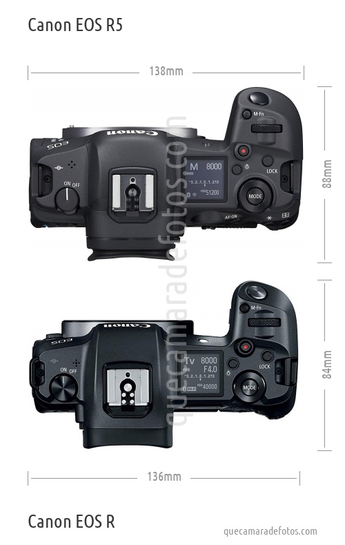 Turista Misterioso Desigualdad Canon EOS R5 vs Canon EOS R