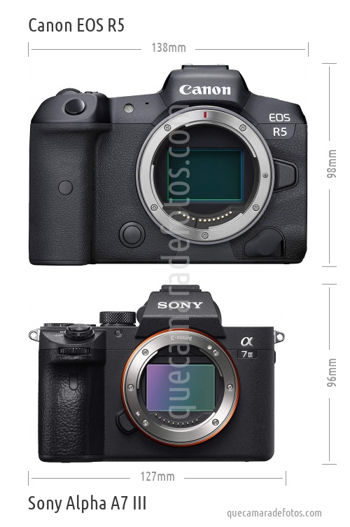 Sony Alpha A7 III vs Canon EOS 90D