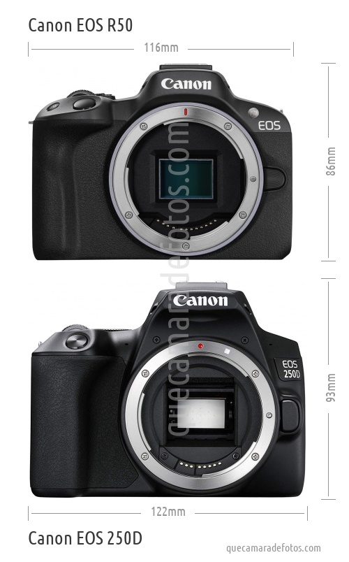 Canon EOS R50 vs Canon EOS 250D