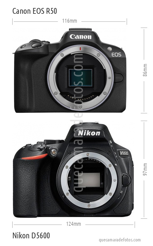 Canon EOS R50 vs Nikon D5600