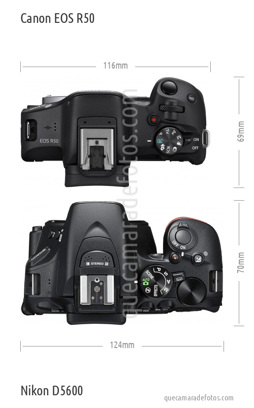 Canon EOS R50 vs Nikon D5600