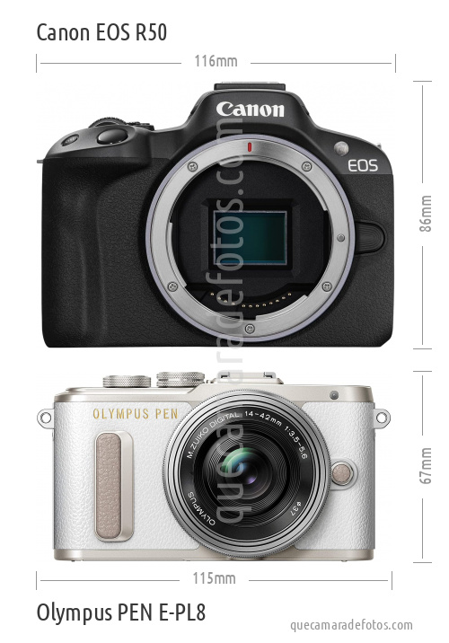 Canon EOS R50 vs Olympus PEN E-PL8