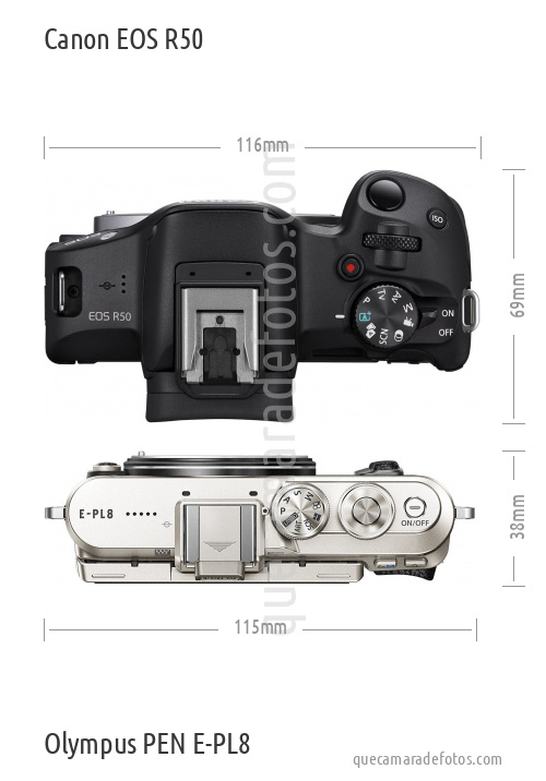 Canon EOS R50 vs Olympus PEN E-PL8