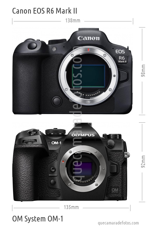 Canon EOS R6 Mark II vs OM System OM-1