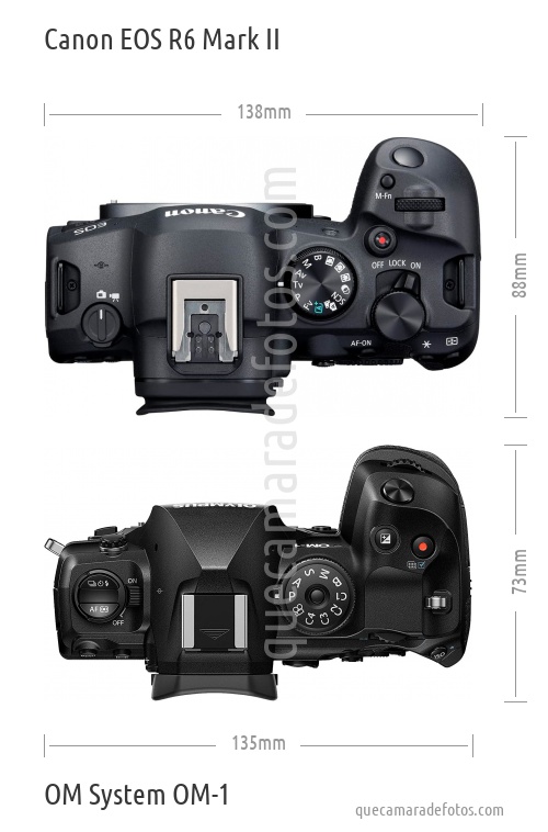 Canon EOS R6 Mark II vs OM System OM-1