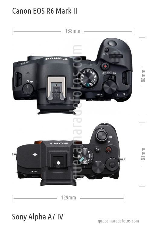 Canon EOS R6 Mark II vs Sony Alpha A7 IV