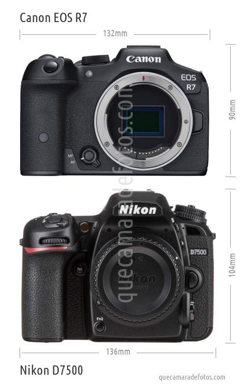 Canon EOS R7 vs Nikon D7500