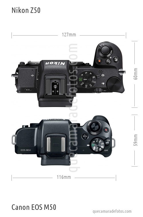Impermeable Elegibilidad ego Nikon Z50 vs Canon EOS M50