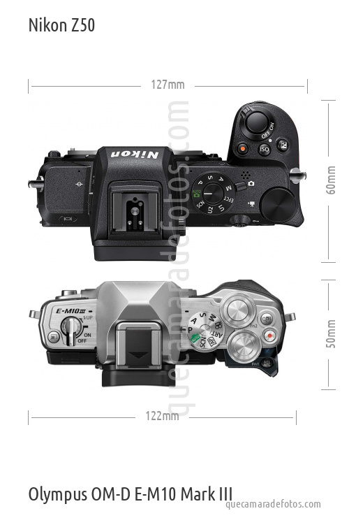 Nikon Z50 vs Olympus OM-D E-M10 Mark III