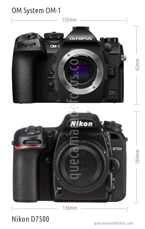 OM System OM-1 vs Nikon D7500