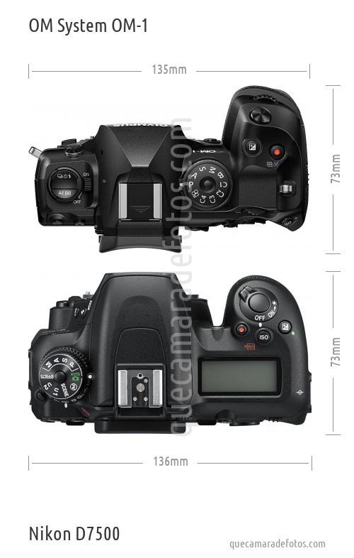 OM System OM-1 vs Nikon D7500