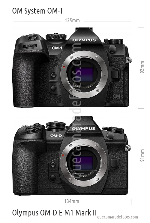 OM System OM-1 vs Olympus OM-D E-M1 Mark II