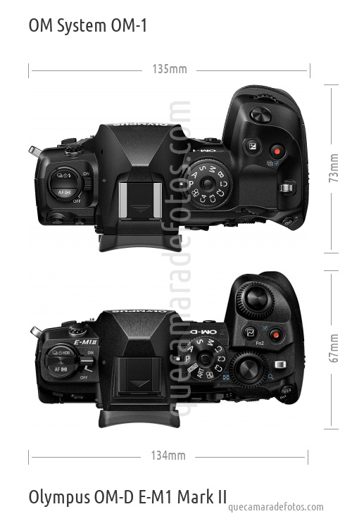 OM System OM-1 vs Olympus OM-D E-M1 Mark II