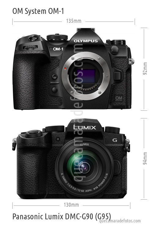 OM System OM-1 vs Panasonic Lumix DMC-G90 (G95)