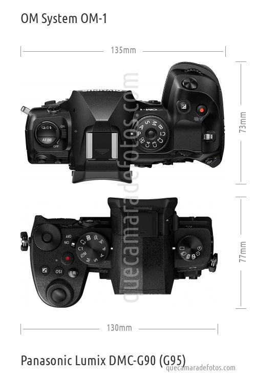 OM System OM-1 vs Panasonic Lumix DMC-G90 (G95)