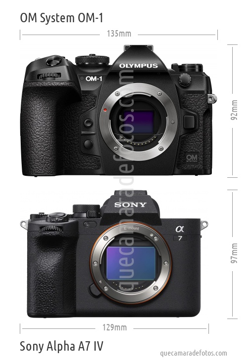 OM System OM-1 vs Sony Alpha A7 IV