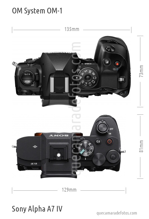 OM System OM-1 vs Sony Alpha A7 IV