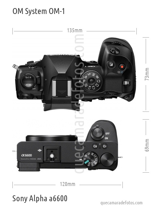 OM System OM-1 vs Sony Alpha a6600