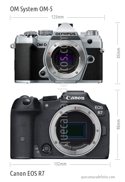 OM System OM-5 vs Canon EOS R7