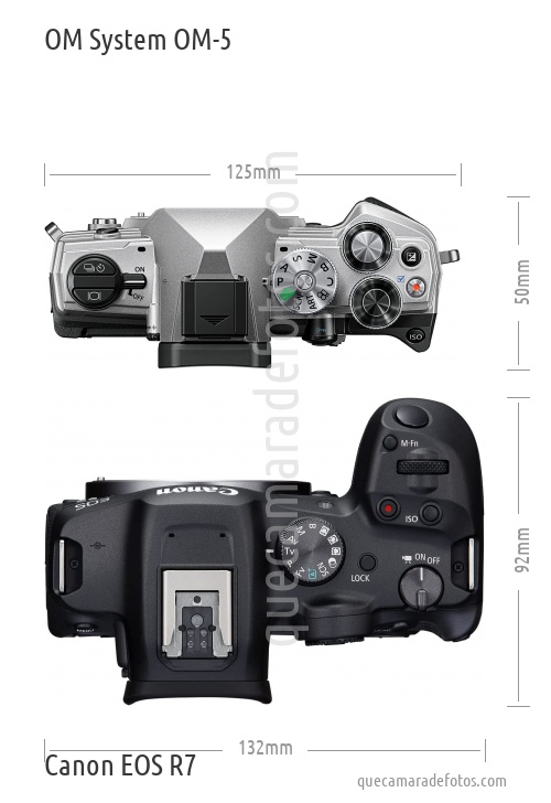 OM System OM-5 vs Canon EOS R7