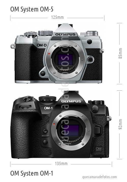 OM System OM-5 vs OM System OM-1