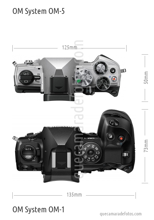 OM System OM-5 vs OM System OM-1