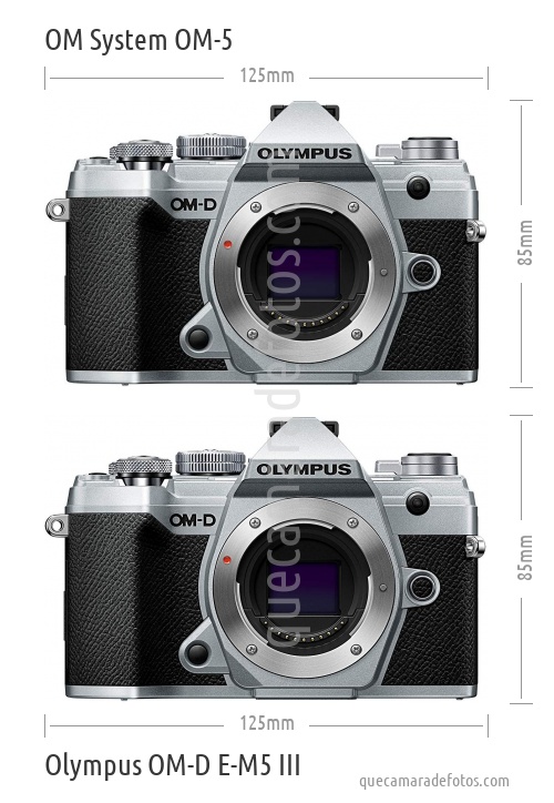 OM System OM-5 vs Olympus OM-D E-M5 III