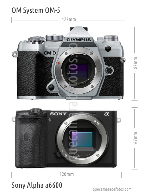 OM System OM-5 vs Sony Alpha a6600