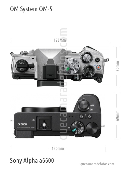 OM System OM-5 vs Sony Alpha a6600