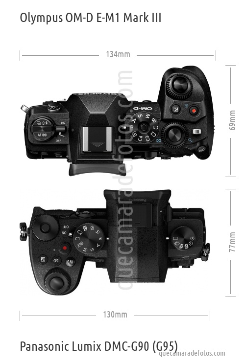 Olympus OM-D E-M1 Mark III vs Panasonic Lumix DMC-G90 (G95)