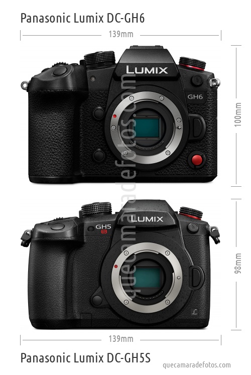 Panasonic Lumix DC-GH6 vs Panasonic Lumix DC-GH5S