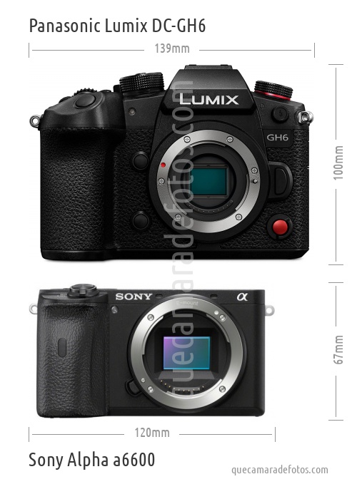 Panasonic Lumix DC-GH6 vs Sony Alpha a6600