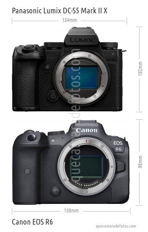 Panasonic Lumix DC-S5 Mark II X vs Canon EOS R6