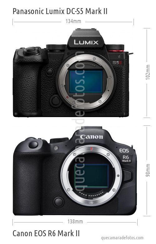 Panasonic Lumix DC-S5 Mark II vs Canon EOS R6 Mark II