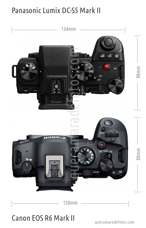 Panasonic Lumix DC-S5 Mark II vs Canon EOS R6 Mark II