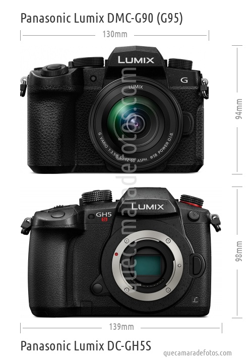 Panasonic Lumix DMC-G90 (G95) vs Panasonic Lumix DC-GH5S