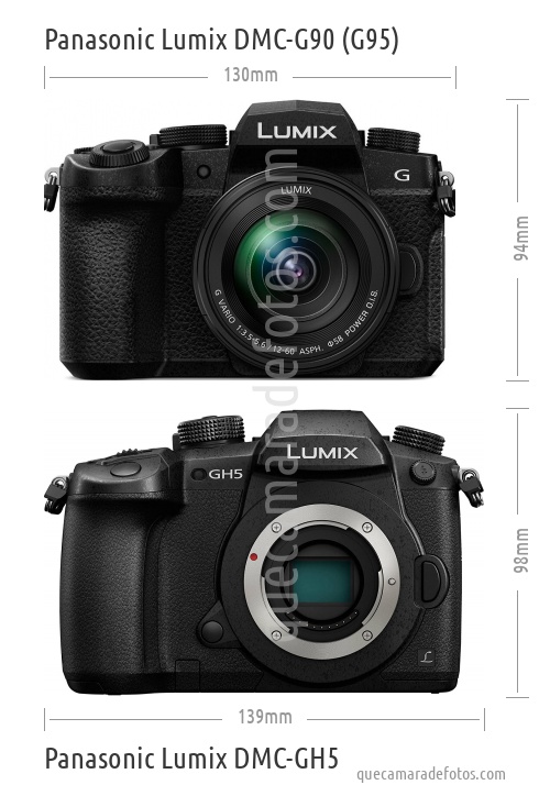 Panasonic Lumix DMC-G90 (G95) vs Panasonic Lumix DMC-GH5