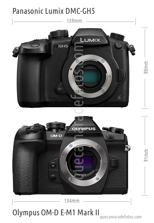 Panasonic Lumix DMC-GH5 vs Olympus OM-D E-M1 Mark II