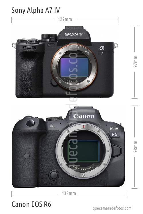 Sony Alpha A7 IV vs Canon EOS R6