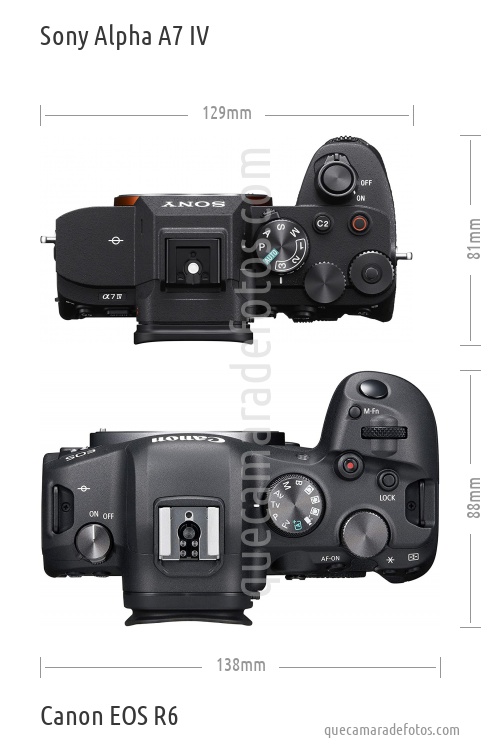 Sony Alpha A7 IV vs Canon EOS R6