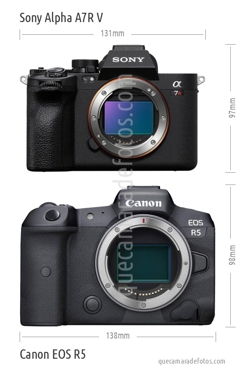 Sony Alpha A7R V vs Canon EOS R5