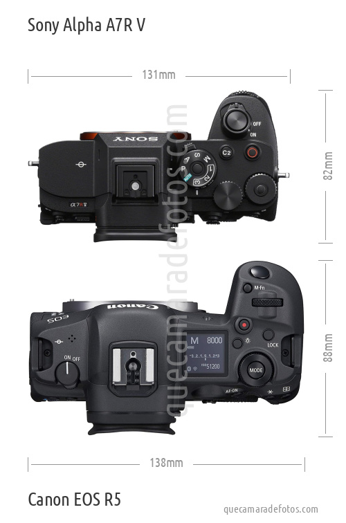 Sony Alpha A7R V vs Canon EOS R5