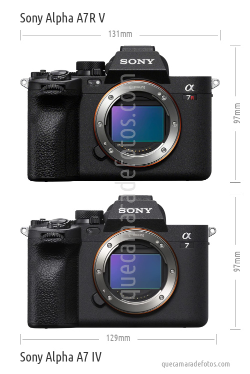 Sony Alpha A7R V vs Sony Alpha A7 IV